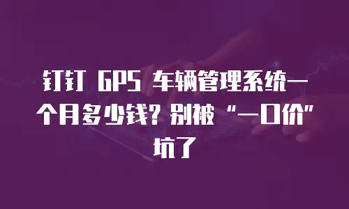 钉钉 GPS 车辆管理系统一个月多少钱？别被“一口价”坑了