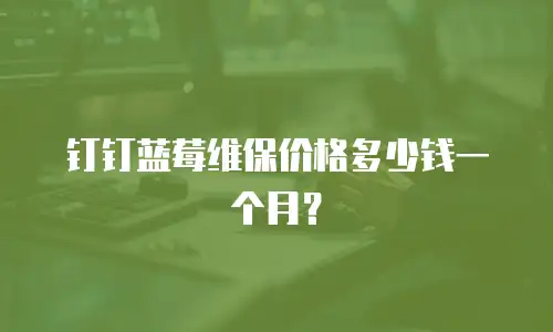 钉钉蓝莓维保价格多少钱一个月？