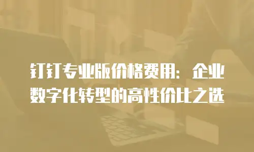 钉钉专业版价格费用：企业数字化转型的高性价比之选