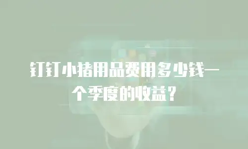 钉钉小猪用品费用多少钱一个季度的收益？