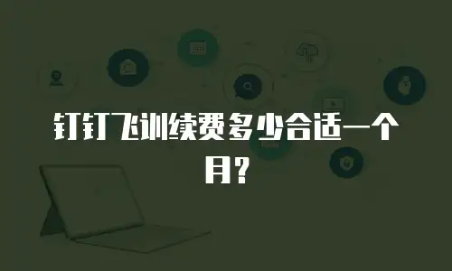 钉钉飞训续费多少合适一个月？