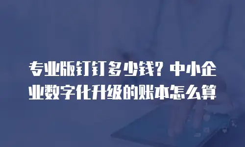 专业版钉钉多少钱？中小企业数字化升级的账本怎么算