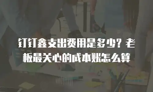钉钉鑫支出费用是多少？老板最关心的成本账怎么算