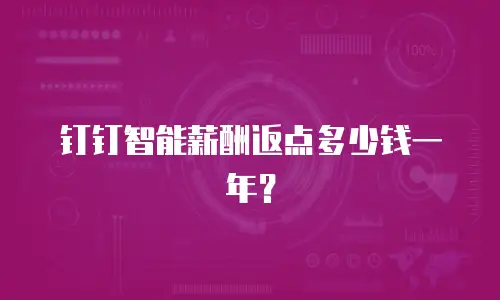 钉钉智能薪酬返点多少钱一年？