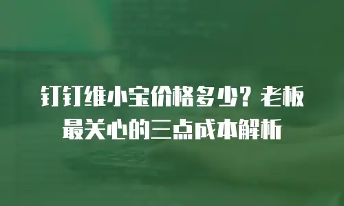 钉钉维小宝价格多少？老板最关心的三点成本解析