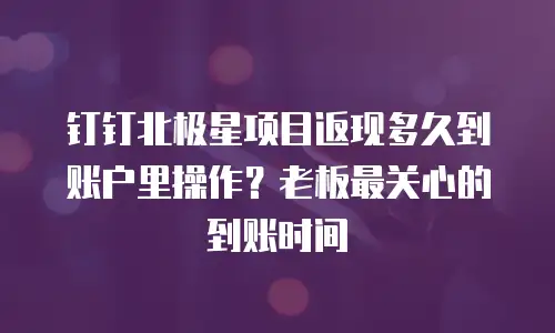 钉钉北极星项目返现多久到账户里操作？老板最关心的到账时间