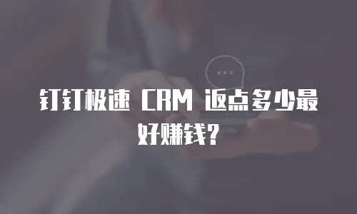 钉钉极速 CRM 返点多少最好赚钱？