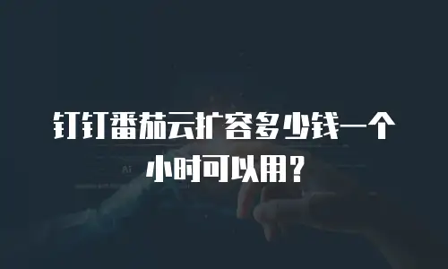 钉钉番茄云扩容多少钱一个小时可以用？