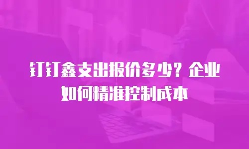 钉钉鑫支出报价多少？企业如何精准控制成本