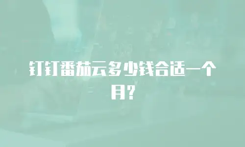 钉钉番茄云多少钱合适一个月？