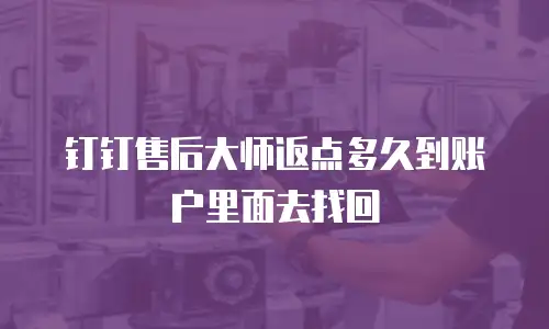 钉钉售后大师返点多久到账户里面去找回