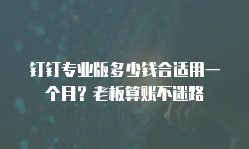 钉钉专业版多少钱合适用一个月？老板算账不迷路