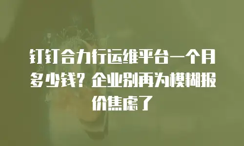 钉钉合力行运维平台一个月多少钱？企业别再为模糊报价焦虑了