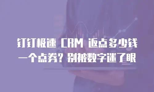 钉钉极速 CRM 返点多少钱一个点券？别被数字迷了眼