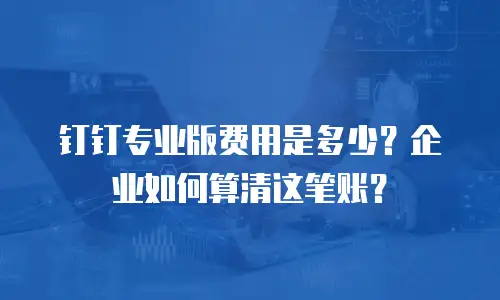 钉钉专业版费用是多少？企业如何算清这笔账？