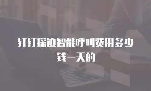 钉钉探迹智能呼叫费用多少钱一天的