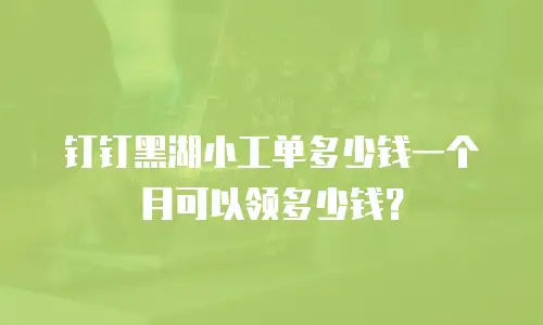 钉钉黑湖小工单多少钱一个月可以领多少钱？