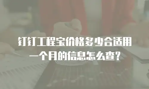 钉钉工程宝价格多少合适用一个月的信息怎么查？