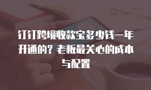 钉钉跨境收款宝多少钱一年开通的？老板最关心的成本与配置