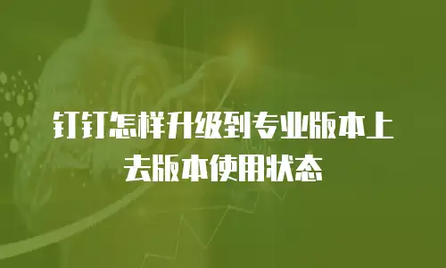 钉钉怎样升级到专业版本上去版本使用状态