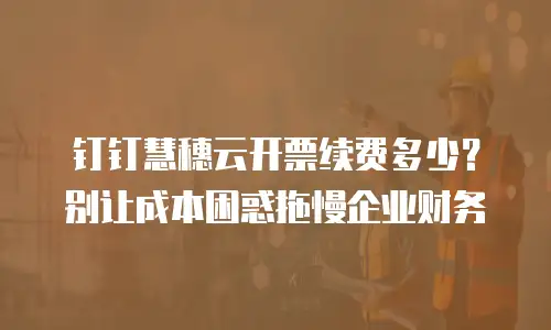 钉钉慧穗云开票续费多少？别让成本困惑拖慢企业财务