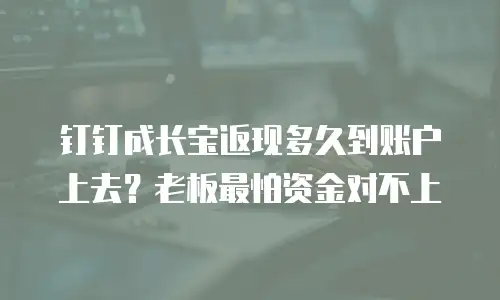 钉钉成长宝返现多久到账户上去？老板最怕资金对不上
