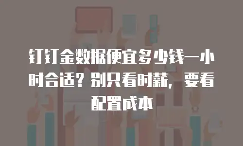 钉钉金数据便宜多少钱一小时合适？别只看时薪，要看配置成本