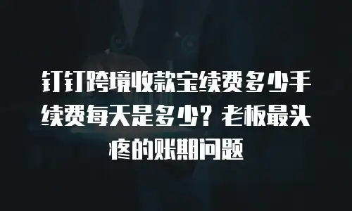 钉钉跨境收款宝续费多少手续费每天是多少？老板最头疼的账期问题