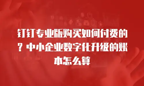 钉钉专业版购买如何付费的？中小企业数字化升级的账本怎么算
