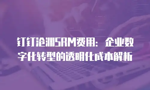 钉钉沧渊SRM费用：企业数字化转型的透明化成本解析