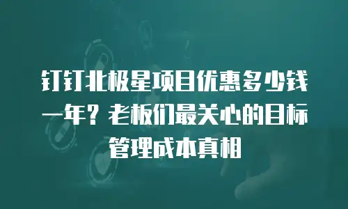 钉钉北极星项目优惠多少钱一年？老板们最关心的目标管理成本真相