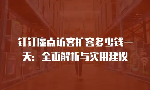 钉钉魔点访客扩容多少钱一天：全面解析与实用建议