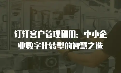 钉钉客户管理租用：中小企业数字化转型的智慧之选