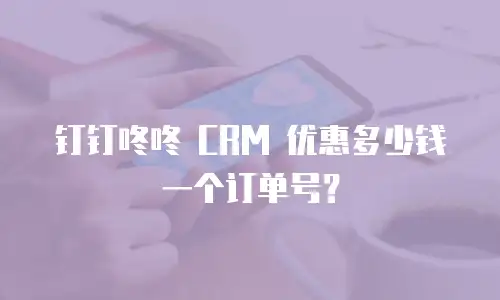 钉钉咚咚 CRM 优惠多少钱一个订单号？