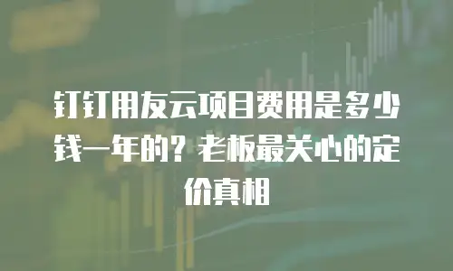 钉钉用友云项目费用是多少钱一年的？老板最关心的定价真相