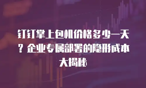 钉钉掌上包机价格多少一天？企业专属部署的隐形成本大揭秘