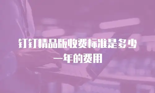 钉钉精品版收费标准是多少一年的费用