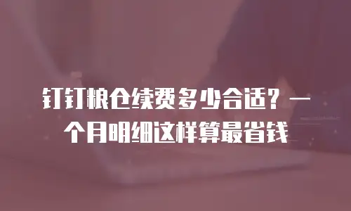 钉钉粮仓续费多少合适？一个月明细这样算最省钱