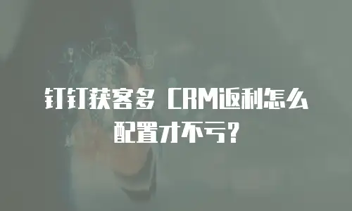 钉钉获客多 CRM返利怎么配置才不亏？