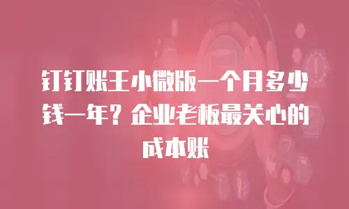 钉钉账王小微版一个月多少钱一年？企业老板最关心的成本账