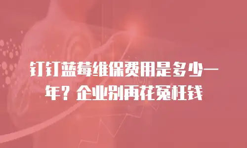 钉钉蓝莓维保费用是多少一年？企业别再花冤枉钱