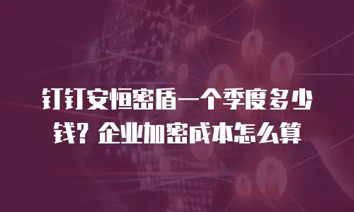 钉钉安恒密盾一个季度多少钱？企业加密成本怎么算