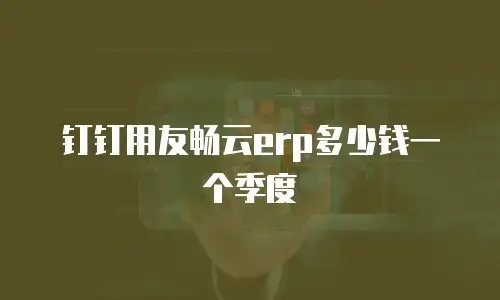 钉钉用友畅云erp多少钱一个季度