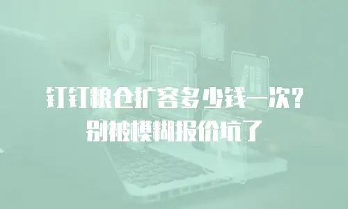 钉钉粮仓扩容多少钱一次？别被模糊报价坑了