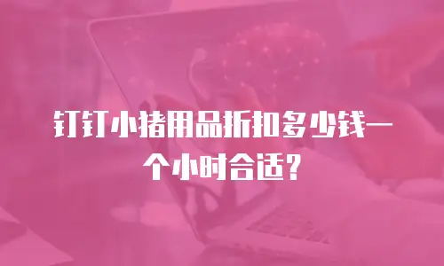 钉钉小猪用品折扣多少钱一个小时合适？