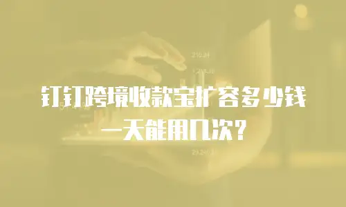钉钉跨境收款宝扩容多少钱一天能用几次？