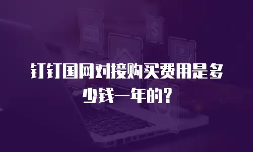 钉钉国网对接购买费用是多少钱一年的？