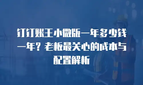 钉钉账王小微版一年多少钱一年？老板最关心的成本与配置解析