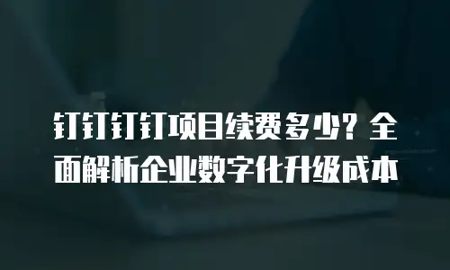 钉钉钉钉项目续费多少？全面解析企业数字化升级成本