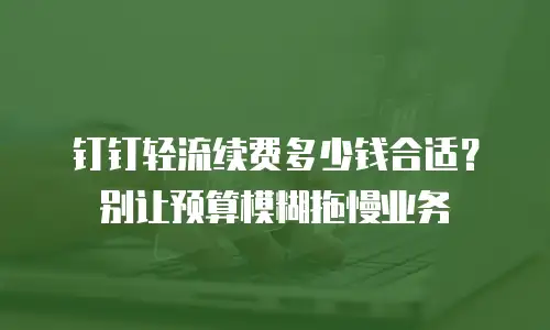 钉钉轻流续费多少钱合适？别让预算模糊拖慢业务